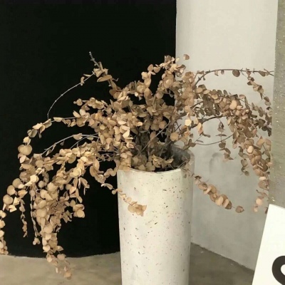 大英福瑞交流群